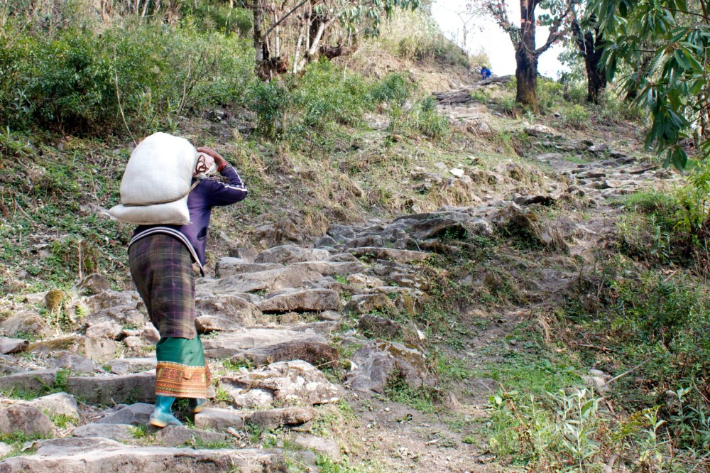 nice old lady bringing home some groceries 50lb sack of rice