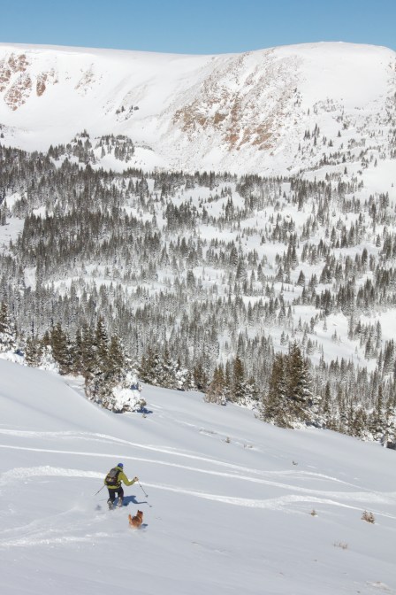 Adam and Shukah drop