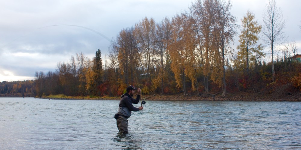 Dylan lives in a van down by the river