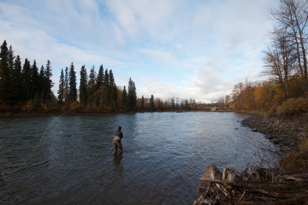 Casting down the bank