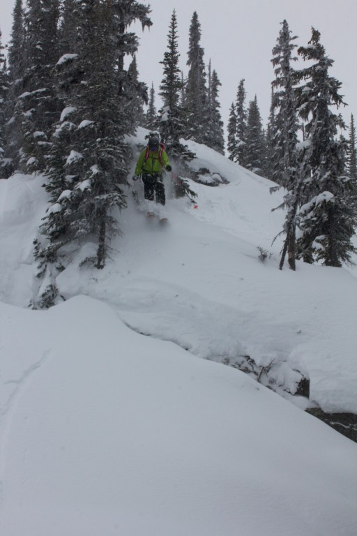 SP tucks in through a tree